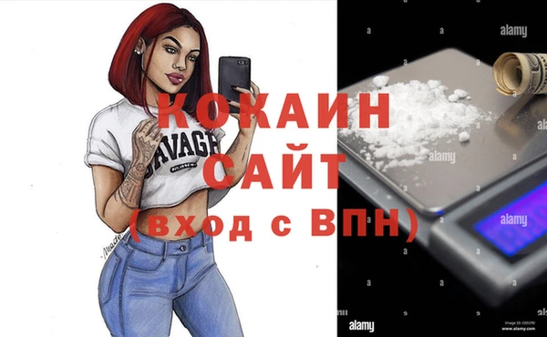 apvp Гусь-Хрустальный