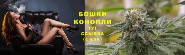 дурь Дмитриев