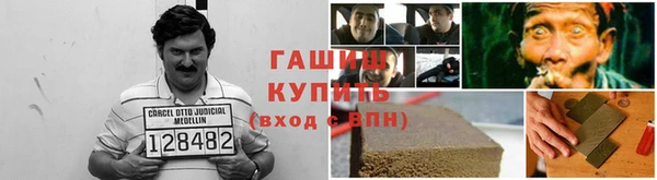 PSILOCYBIN Гусиноозёрск