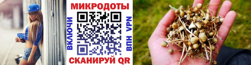 Псилоцибиновые грибы прущие грибы  как найти   Николаевск 